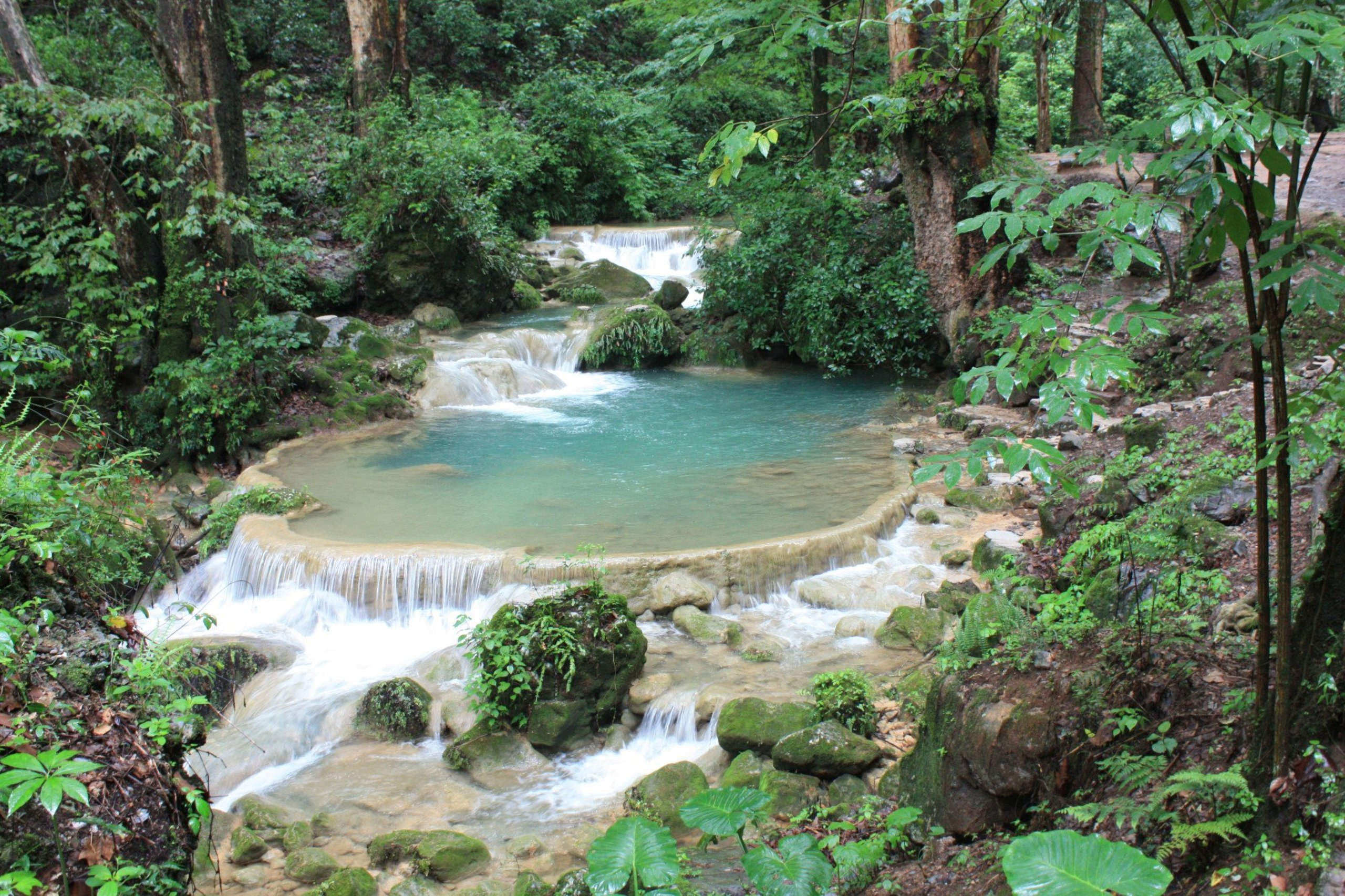 Naturaleza pinal de amoles